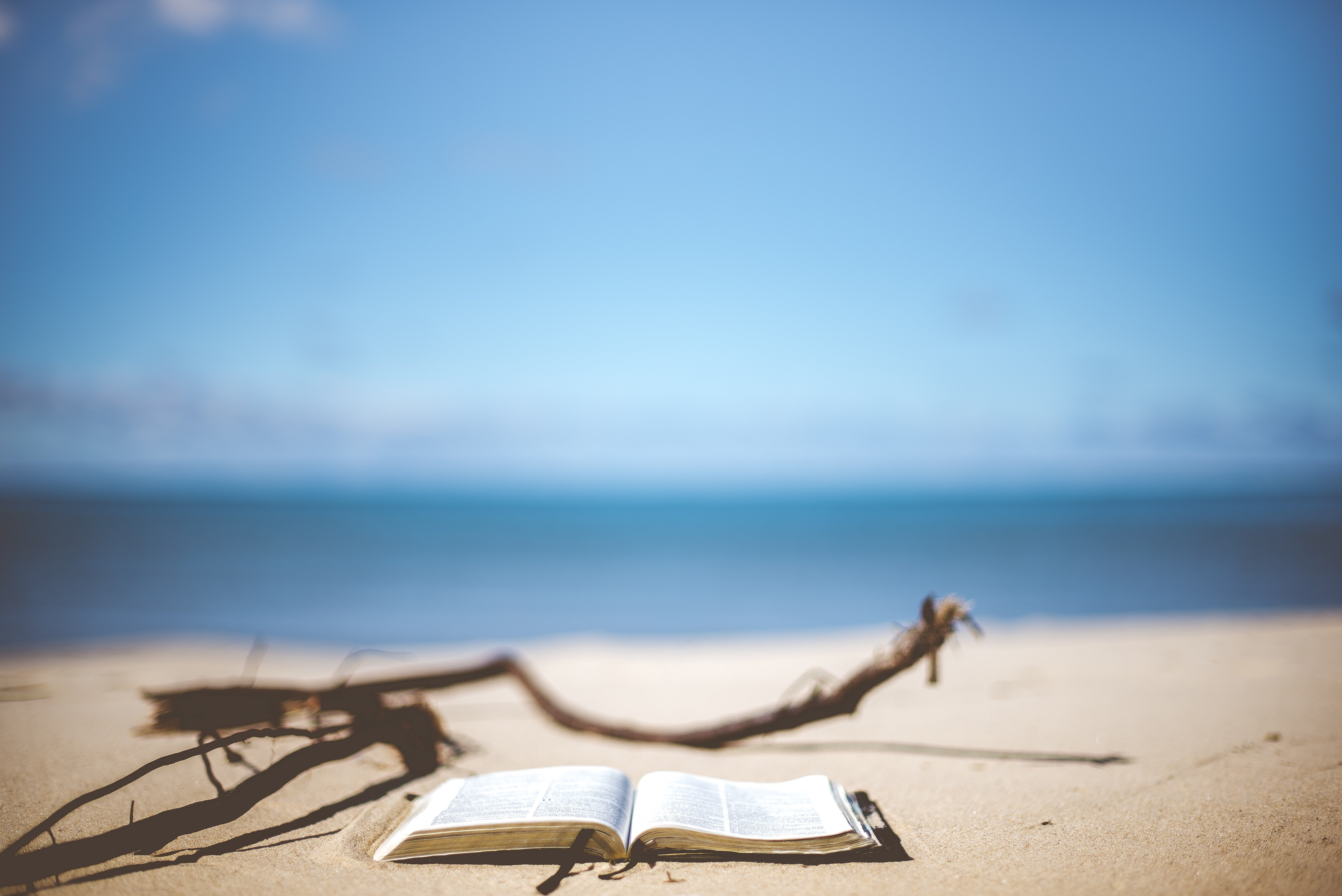 Bild eines Strandes mit einem Buch im Vordergrund
